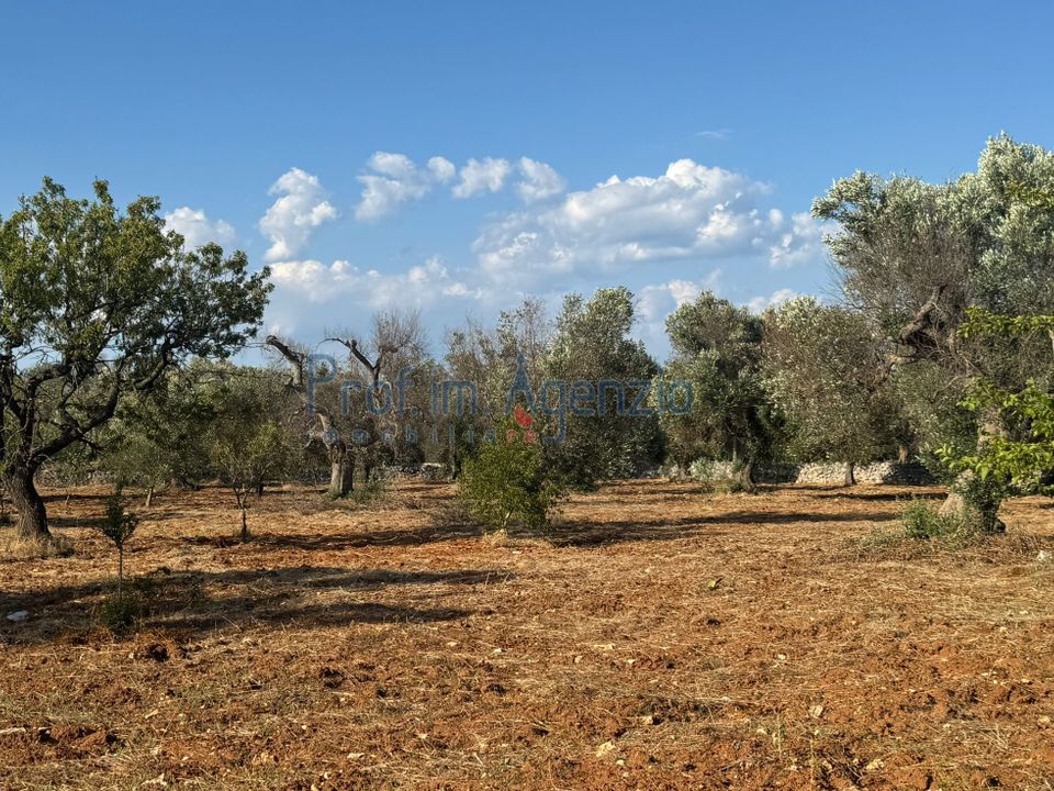 Helårsgrund i San Vito dei Normanni, Brindisi - foto 1